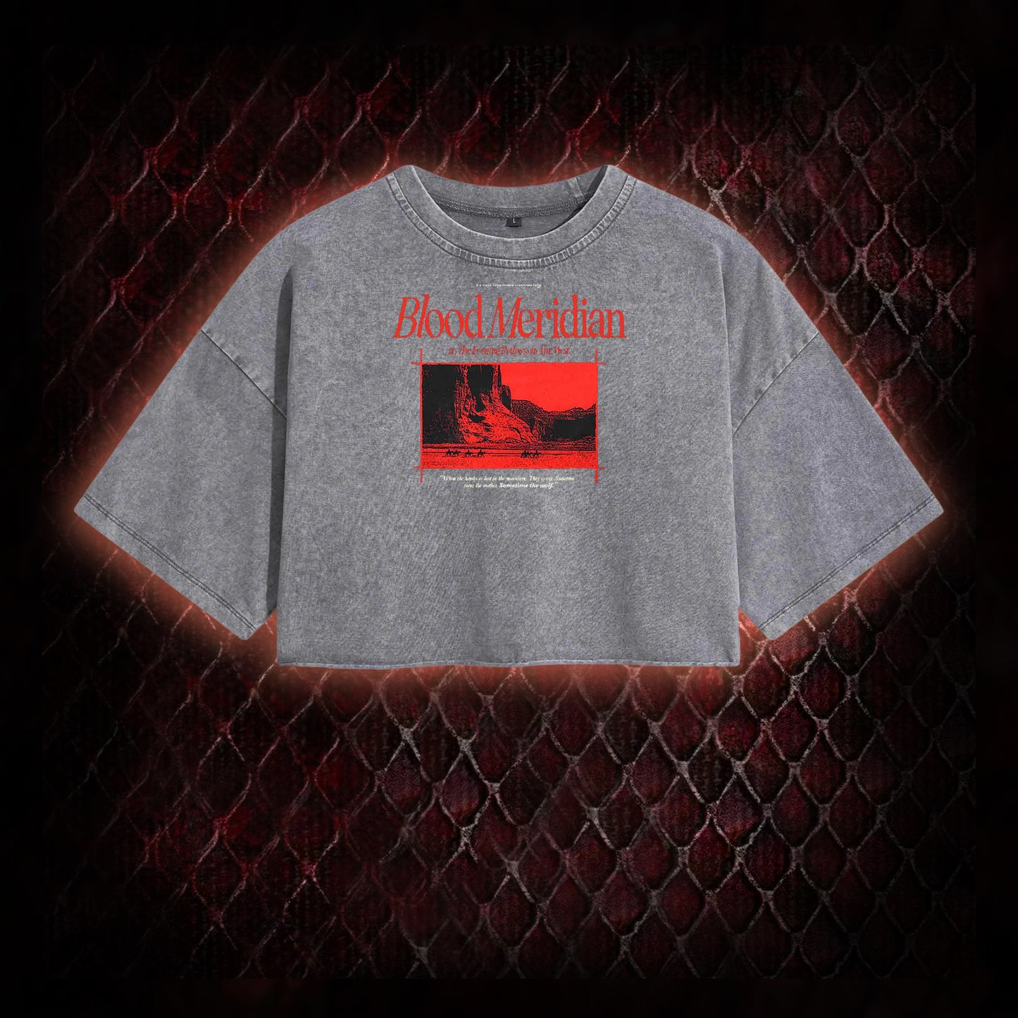 Blood Meridian Dark Literary Washed Cropped T-shirt
