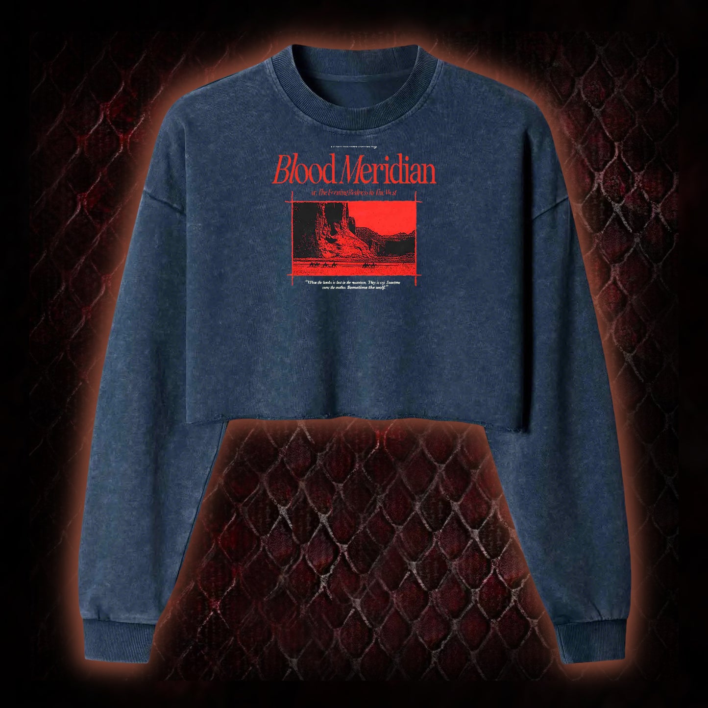 Blood Meridian Dark Literary Washed Cropped Sweatshirt
