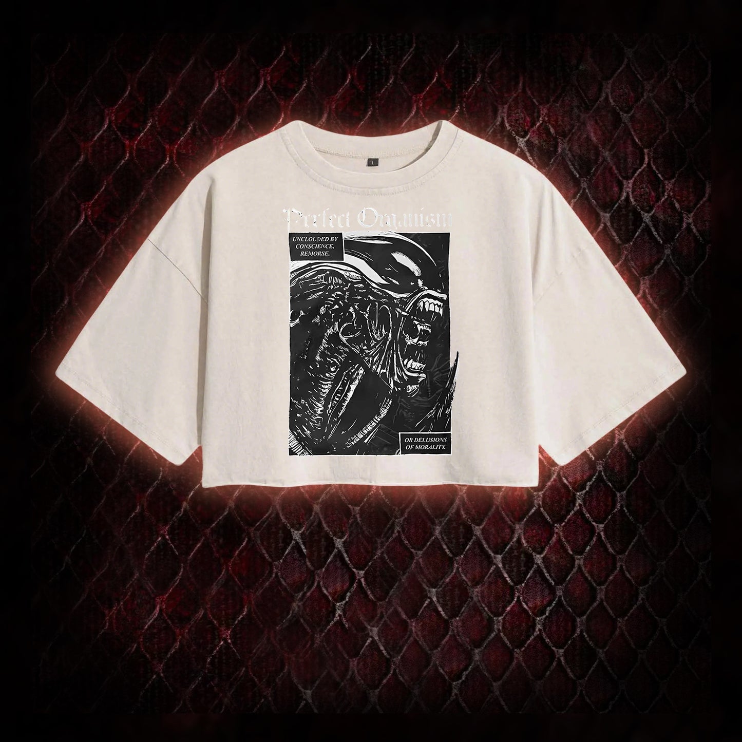 Alien Perfect Organism Washed Cropped T-shirt