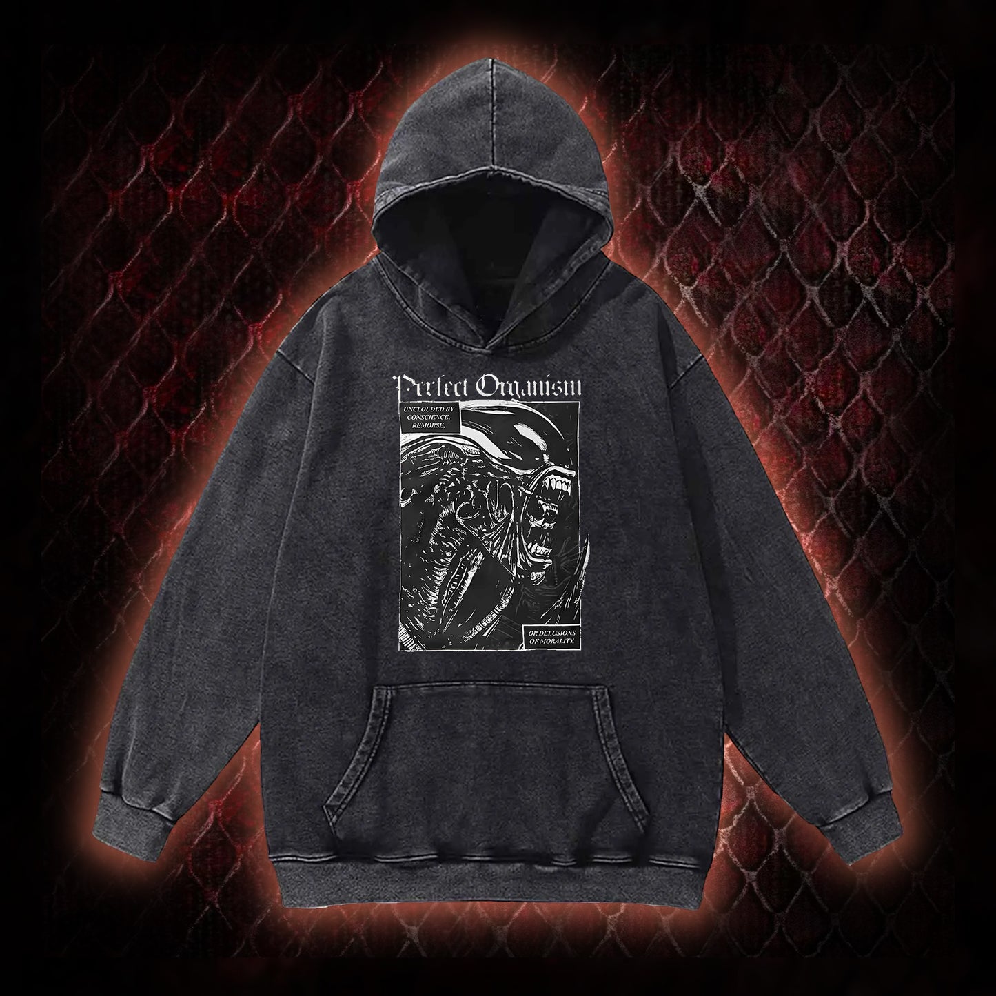 Alien Perfect Organism Vintage Washed Hoodie