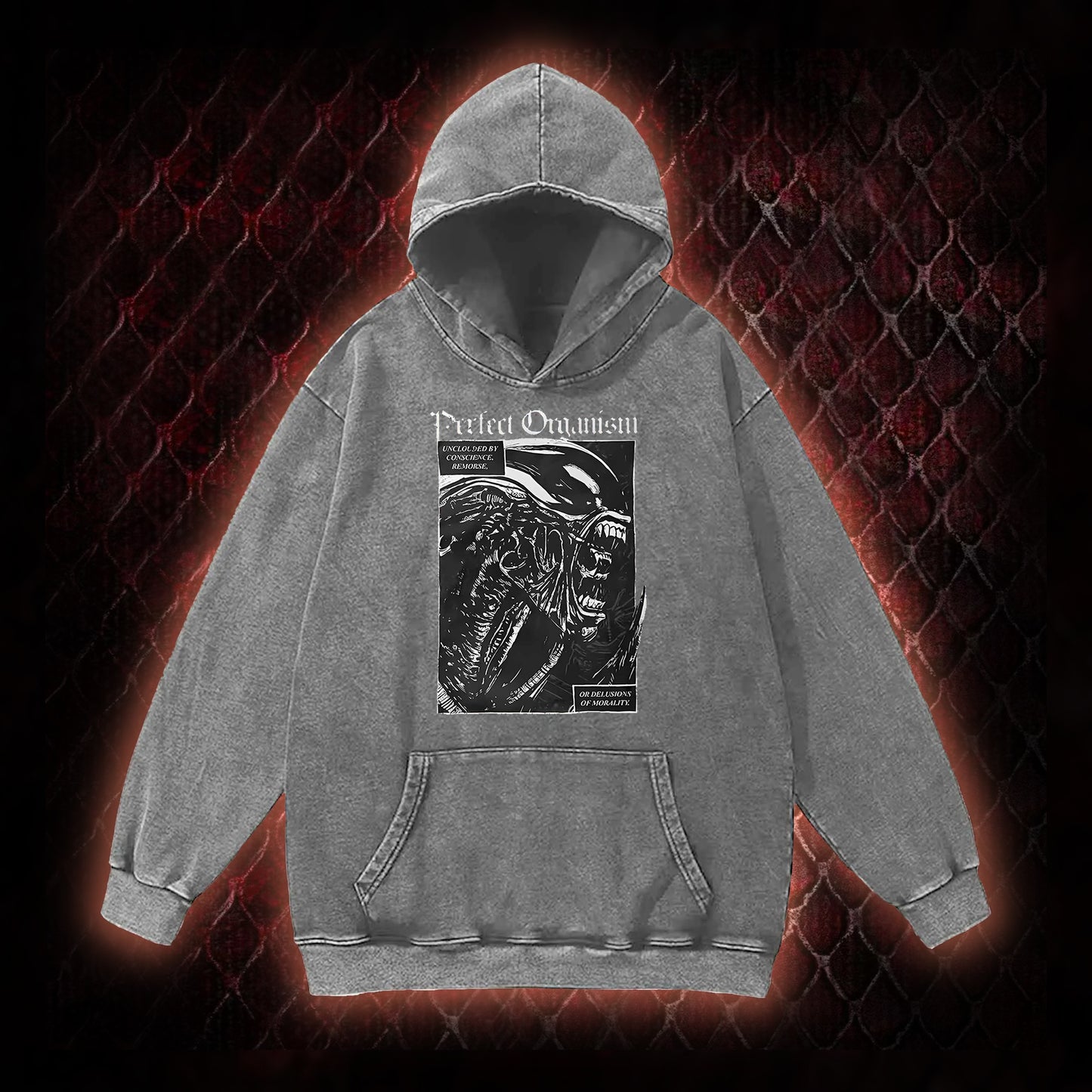 Alien Perfect Organism Vintage Washed Hoodie