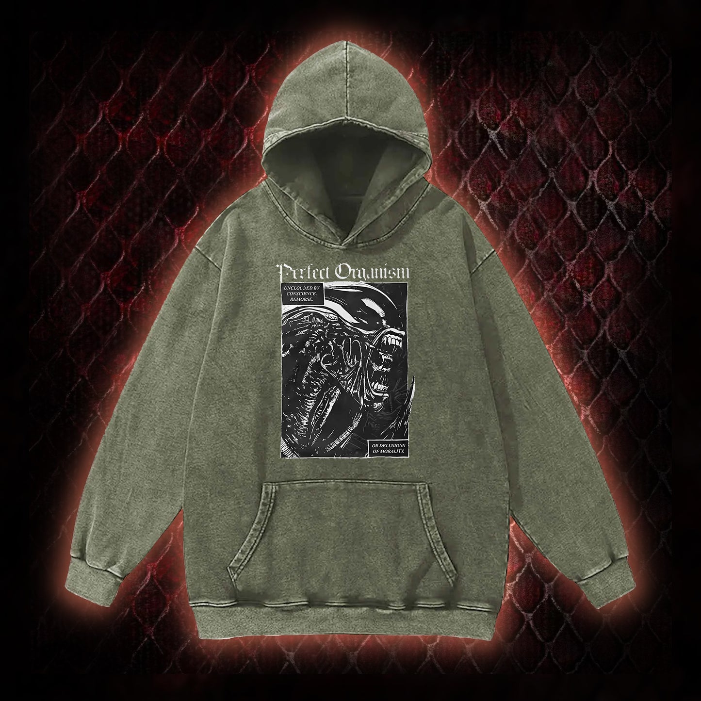 Alien Perfect Organism Vintage Washed Hoodie