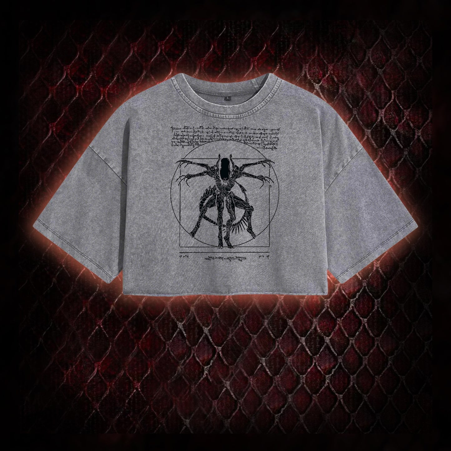 Alien Vintage Washed Cropped T-shirt