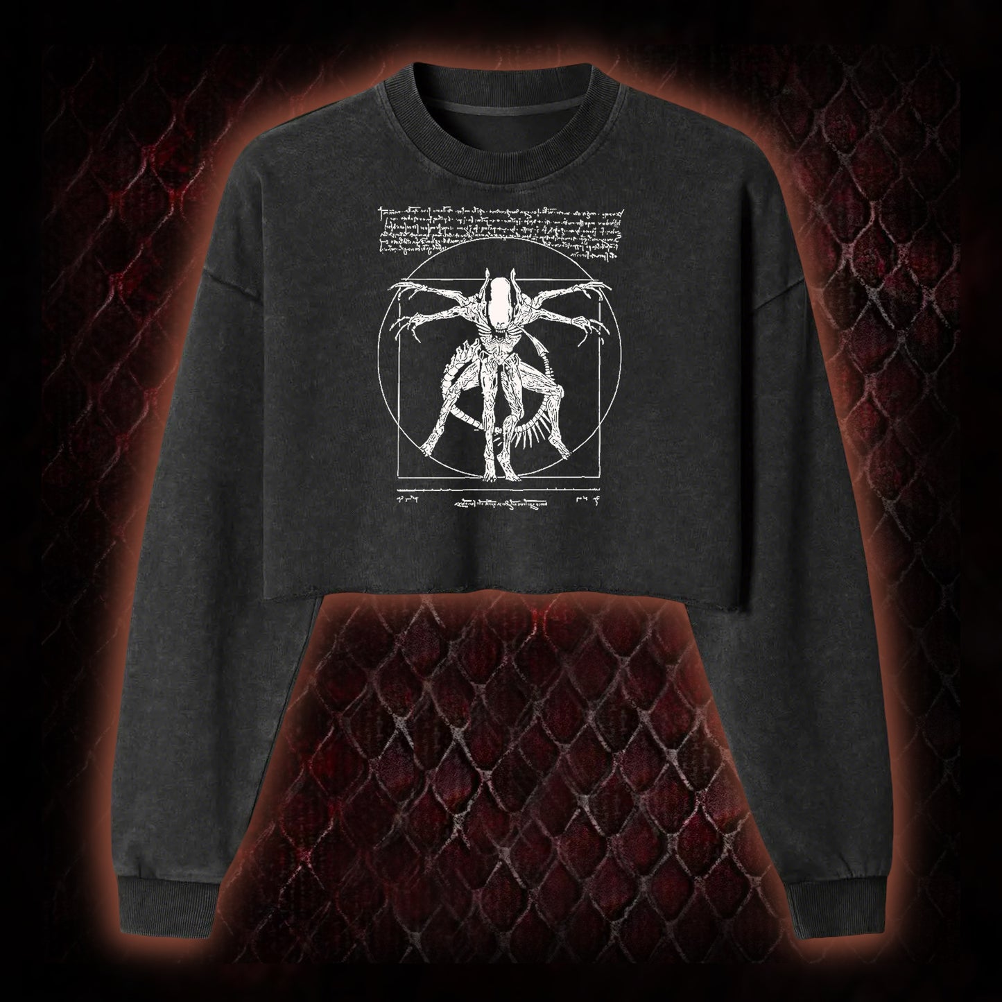 Alien Washed Cropped Sweatshirt