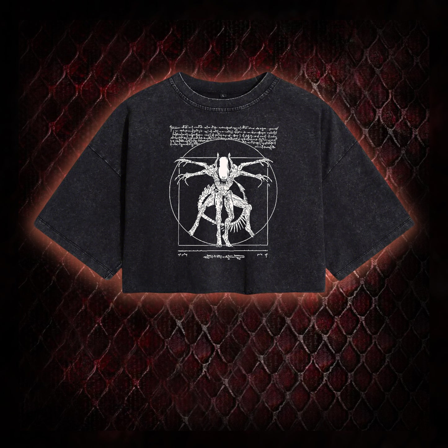 Alien Vintage Washed Cropped T-shirt