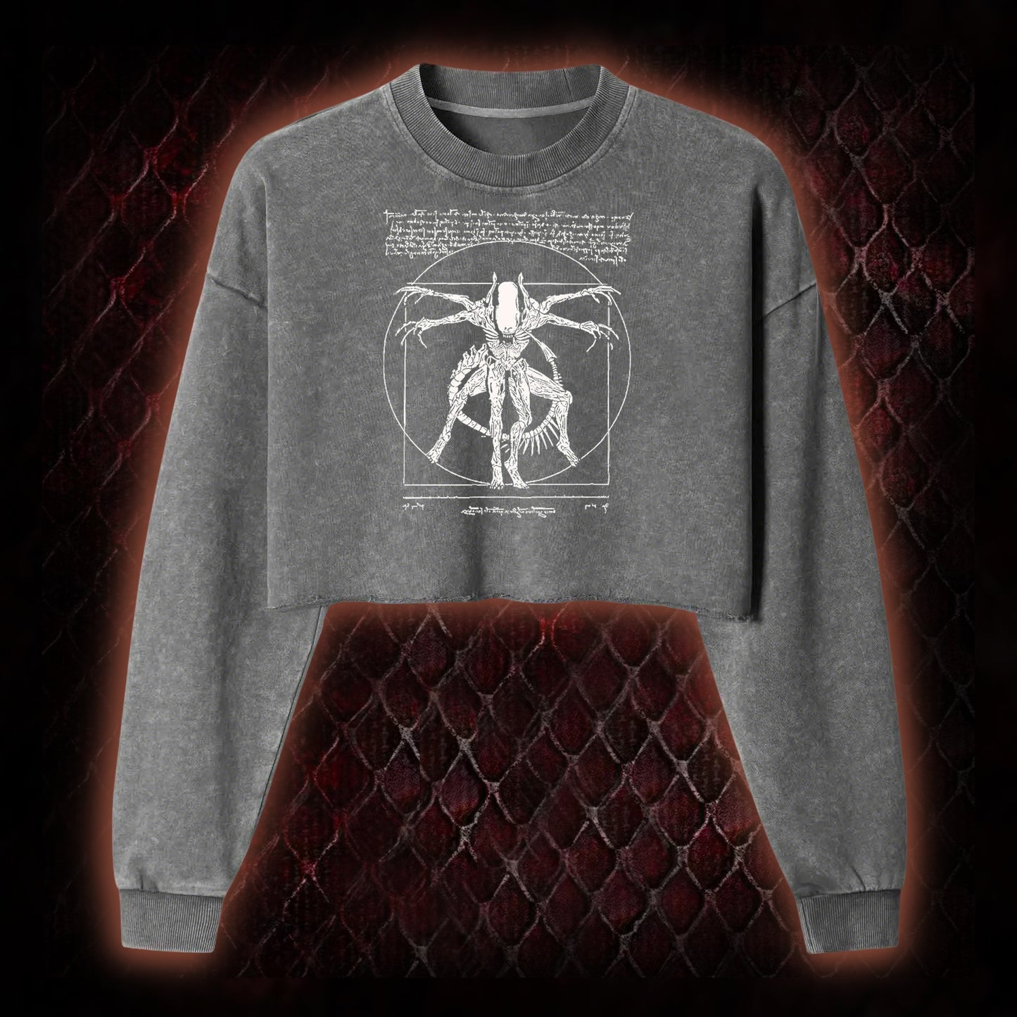 Alien Washed Cropped Sweatshirt