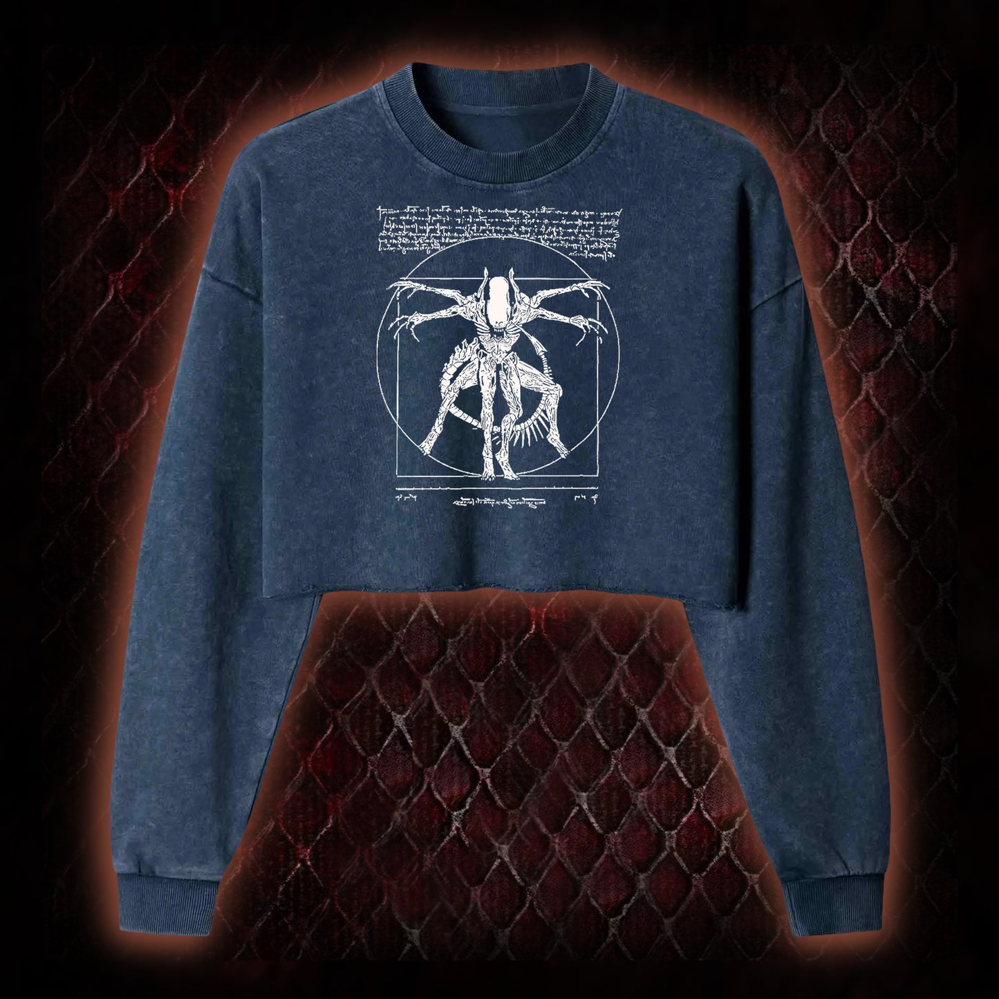 Alien Washed Cropped Sweatshirt