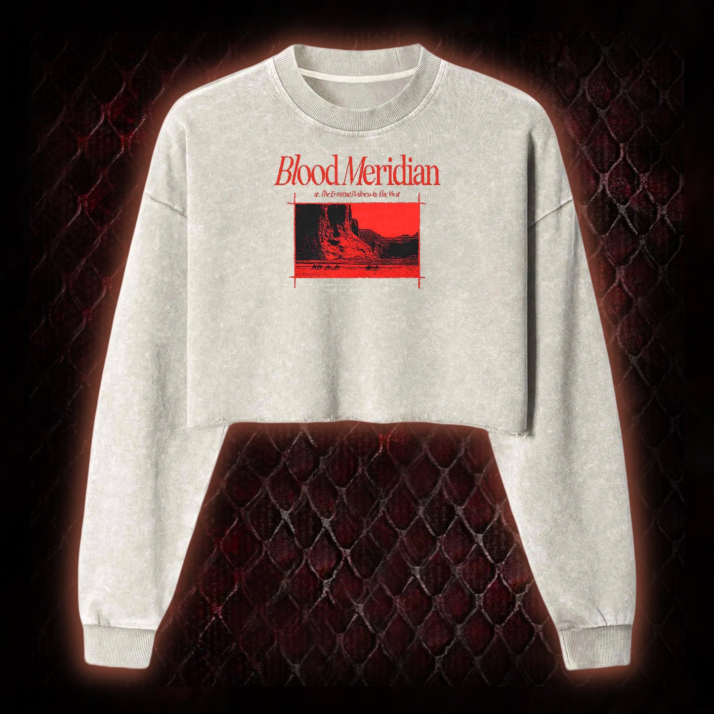 Blood Meridian Dark Literary Washed Cropped Sweatshirt