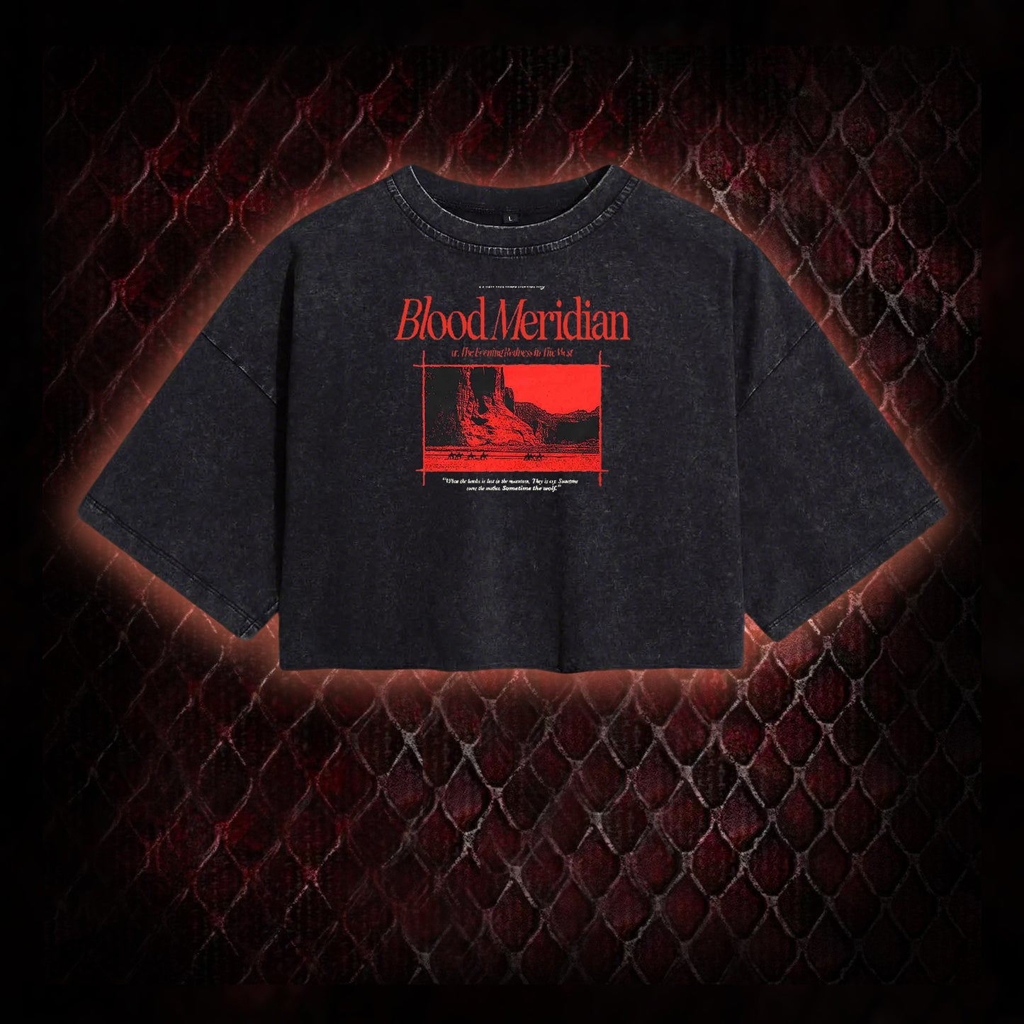 Blood Meridian Dark Literary Washed Cropped T-shirt