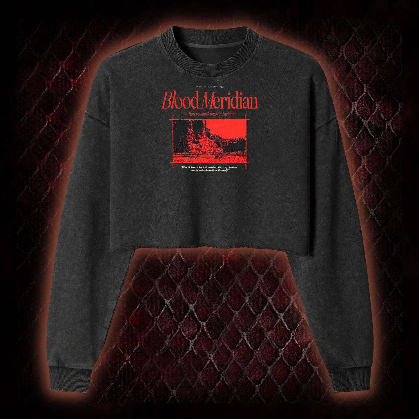 Blood Meridian Dark Literary Washed Cropped Sweatshirt