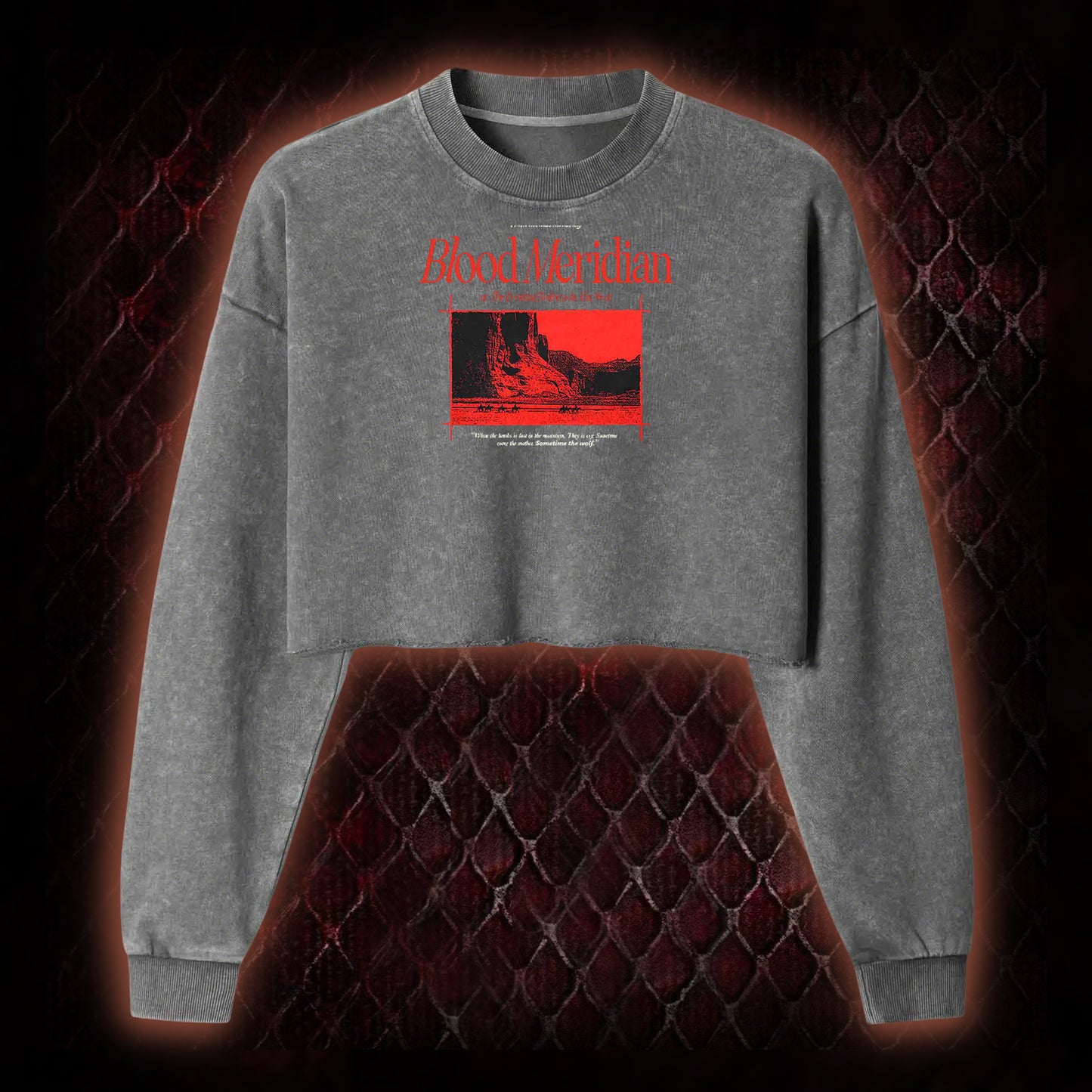 Blood Meridian Dark Literary Washed Cropped Sweatshirt