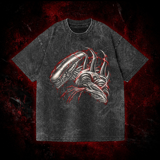 Crimson Carapace Vintage Washed T-shirt in Black, front view