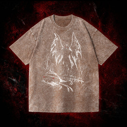 Roadside Winged Omen Vintage Washed T-shirt in Brown, front view