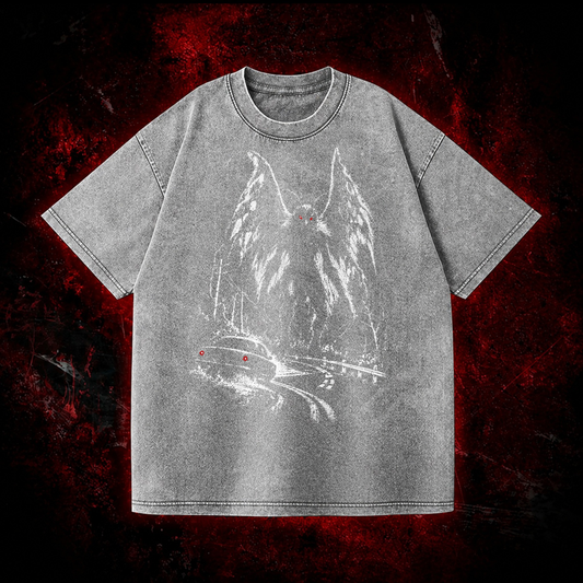 Roadside Winged Omen Vintage Washed T-shirt in Gray, front view