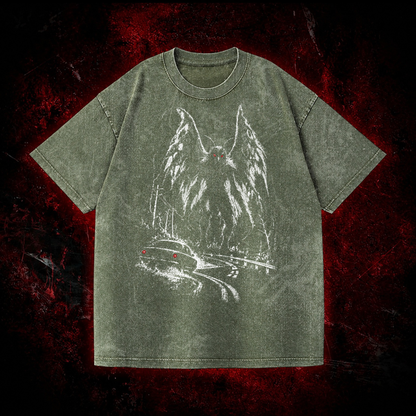 Roadside Winged Omen Vintage Washed T-shirt in Green, front view