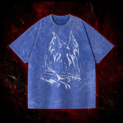Roadside Winged Omen Vintage Washed T-shirt in Navy Blue, front view